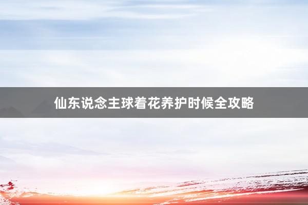 仙东说念主球着花养护时候全攻略