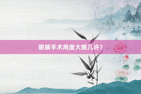 眼睛手术用度大略几许？