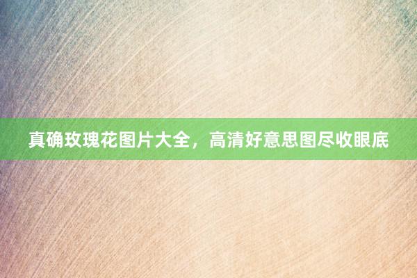 真确玫瑰花图片大全，高清好意思图尽收眼底